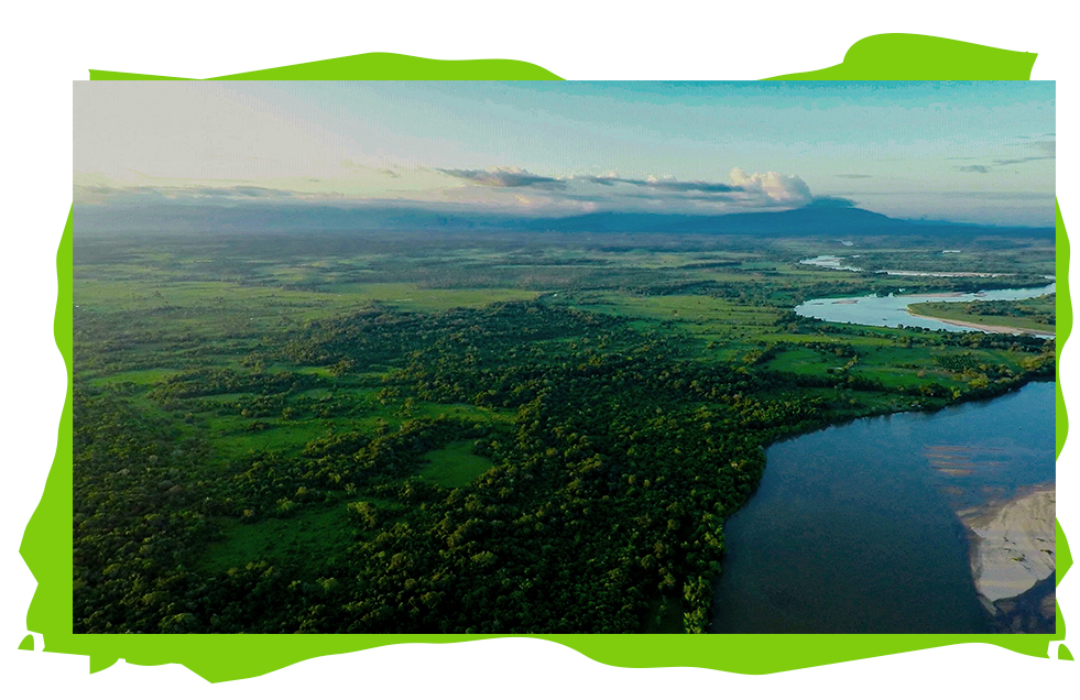 conservation international