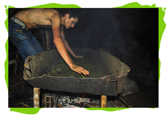 conservation of resources