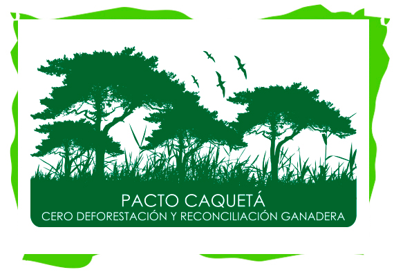 conservation international